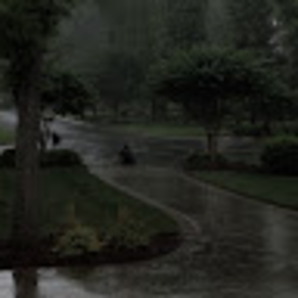 Meet your Posher, Josephine